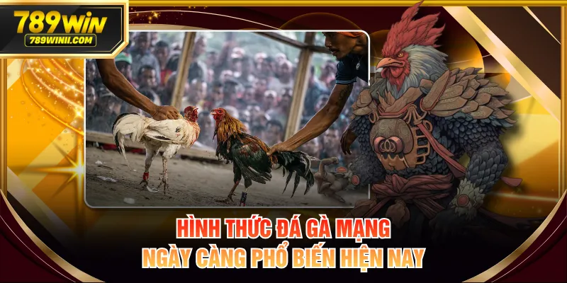 Hình thức đá gà mạng ngày càng phổ biến hiện nay